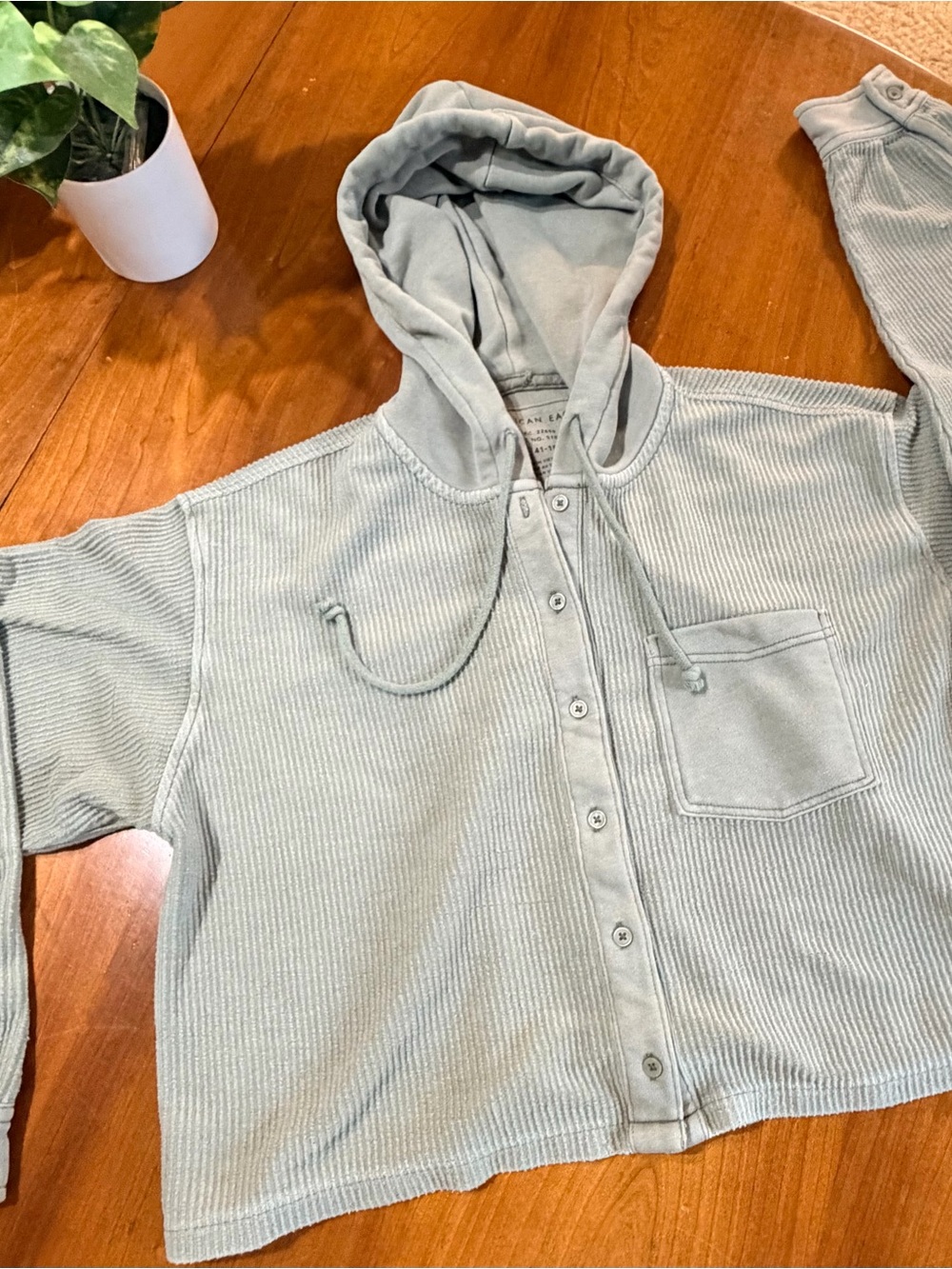 American Eagle Outfitters Sage Green Waffle-Knit Hooded Button Jacket